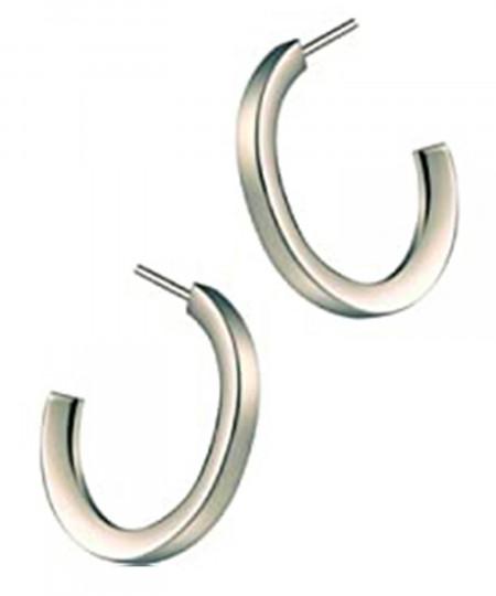 گوشواره استیل زنانه تایم فورس, کد TS5145PS