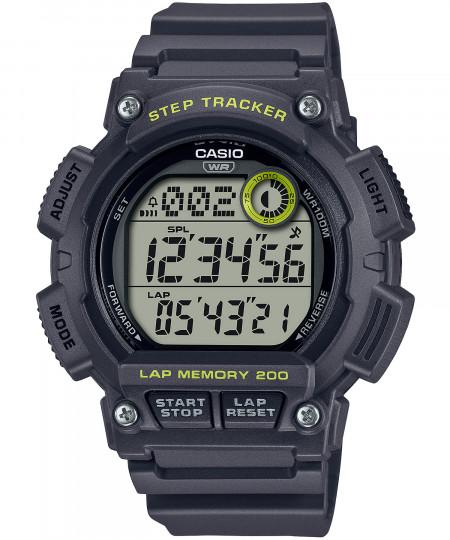 ساعت مچی مردانه کاسیو، زیرمجموعه Standard, کد WS-2100H-8AVDF