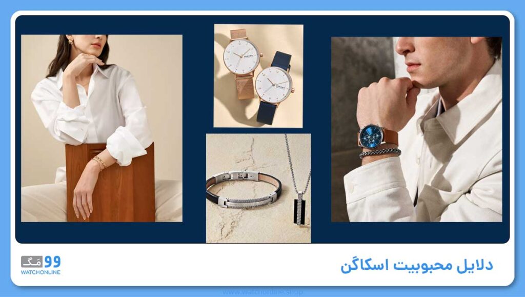 دلایل محبوبیت اسکاگن