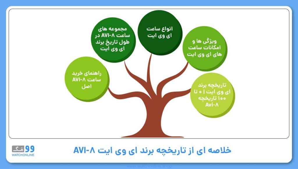 خلاصه ای از تاریخچه برند ای وی ایت AVI-8