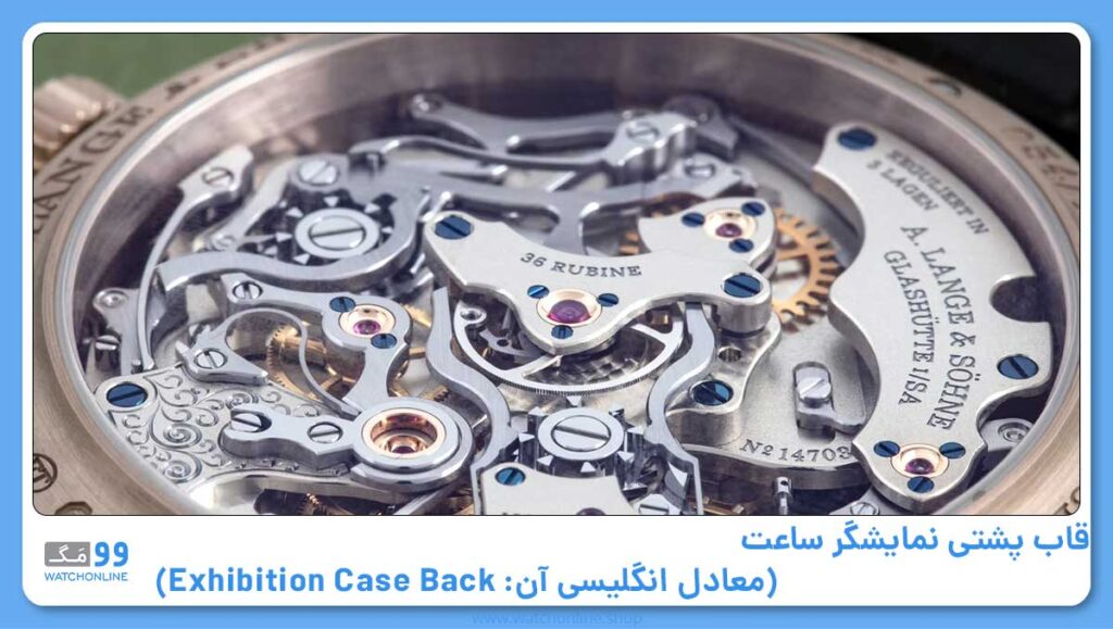 قاب پشتی نمایشگر (معادل انگلیسی آن: Exhibition Case Back)